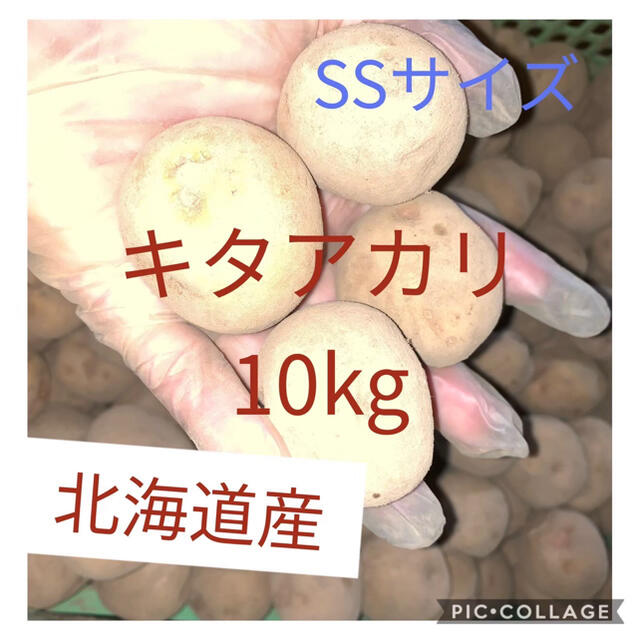 北海道産キタアカリss 10kg 食品/飲料/酒の食品(野菜)の商品写真