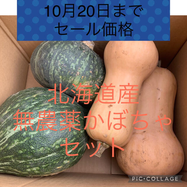 男爵　北海道産無農薬かぼちゃセット 食品/飲料/酒の食品(野菜)の商品写真