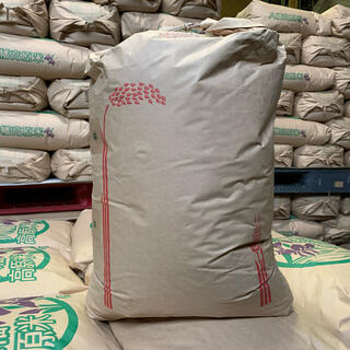 令和3年 広島県産 ヒメノモチ 25kg 玄米 検査1等米(米/穀物)