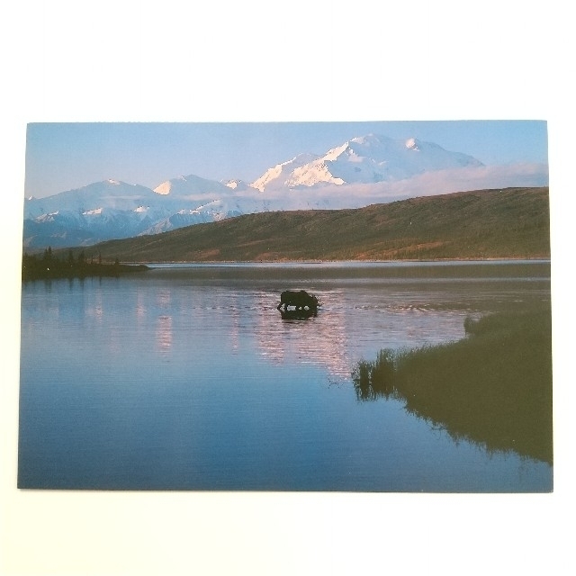 星野道夫 ポストカード 4枚セット エンタメ/ホビーのコレクション(印刷物)の商品写真