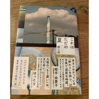 これはただの夏(文学/小説)