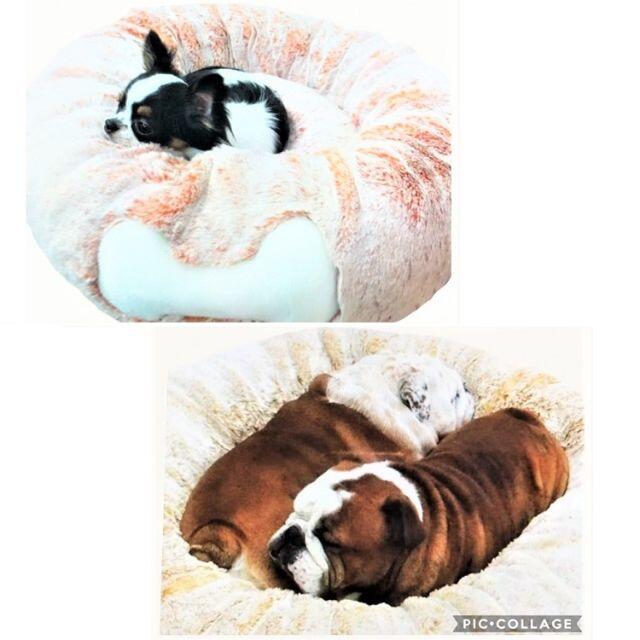 SALE50%off ベッド ファー 極小 小型犬 犬 猫 AN47 48 49 犬 SALE50%off ベッド ファー 極小 小型犬 犬 猫 AN47 48 49 犬
