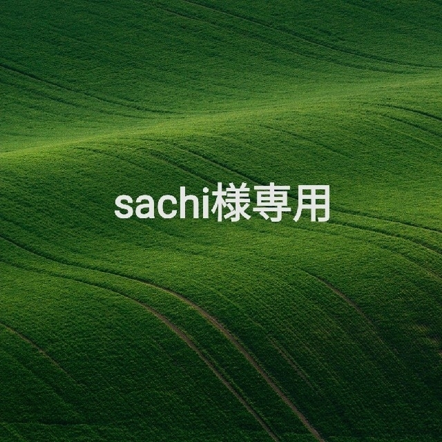 日本アウトレット Sachi 様専用 ネイルパーツ