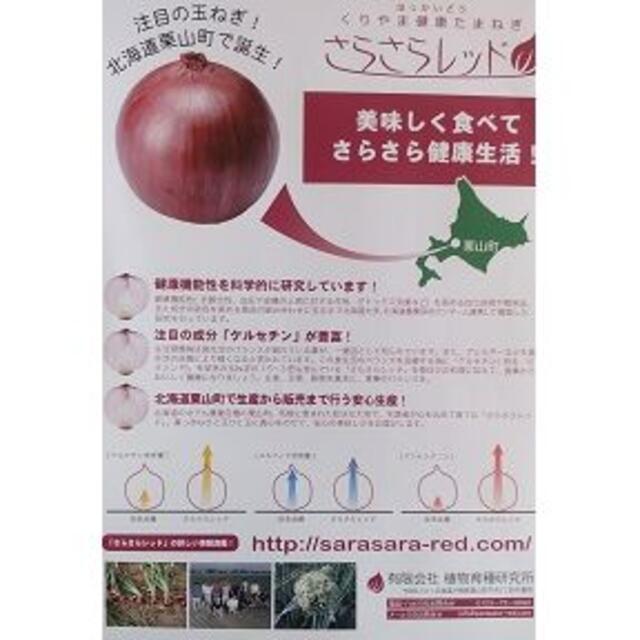 北海道 くりやま健康玉ねぎ『さらさらレッド』 10kg Lサイズ 食品/飲料/酒の食品(野菜)の商品写真