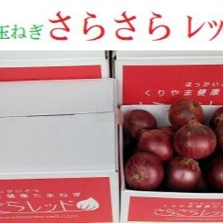 北海道 くりやま健康玉ねぎ『さらさらレッド』 10kg Lサイズ(野菜)