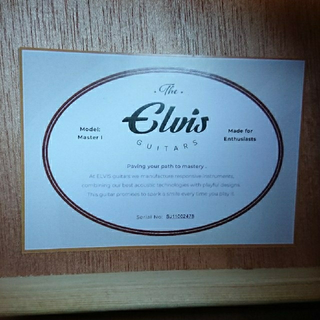 Elvis 「Master 1」アコースティックギター エルビス ギグバッグ付① 楽器のギター(アコースティックギター)の商品写真