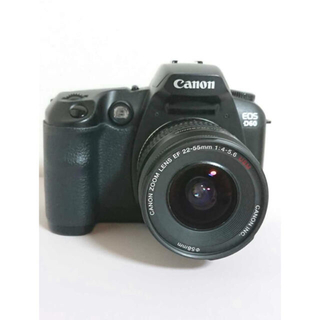 良品　Canon EOS D60 レンズ2本付き　デジカメ　一眼レフ