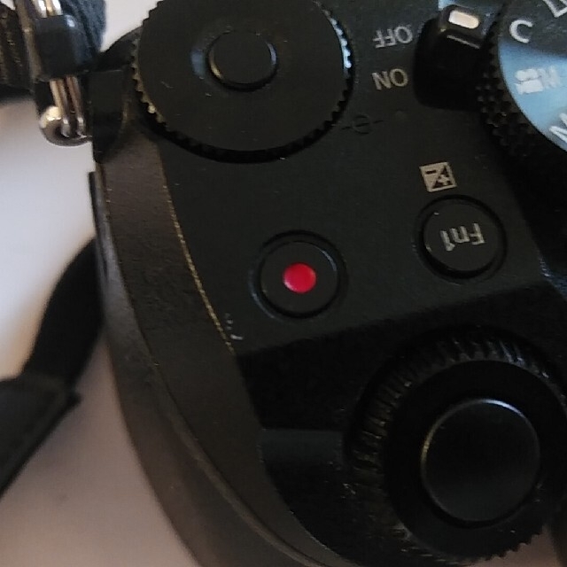 Panasonic ぽんちょ様LUMIX G7 ボディマイクロフォーサーズ