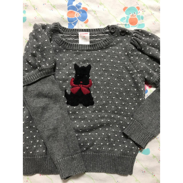 GYMBOREE(ジンボリー)のGymboree セーター他 三点セット 3T キッズ/ベビー/マタニティのキッズ服女の子用(90cm~)(ニット)の商品写真