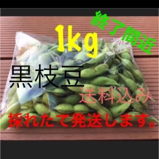 黒枝豆　1kg   採れたて発送します。(野菜)