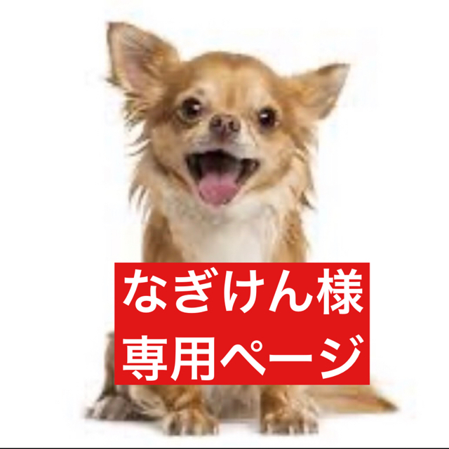 買蔵 杉田 専用ページ - kingswaypowernc.com