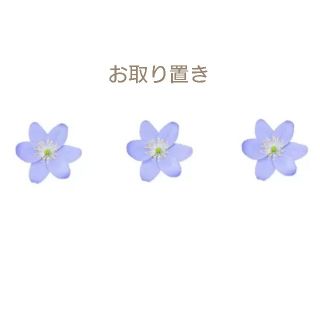 お取り置き(ストロボ/照明)