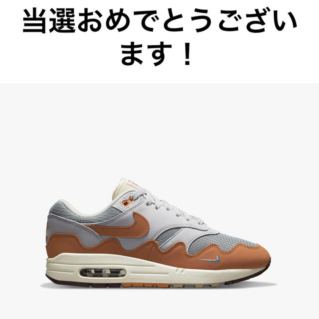 NIKE(ナイキ)のPatta × Nike Air Max 1  26.5㎝　US8.5 メンズの靴/シューズ(スニーカー)の商品写真