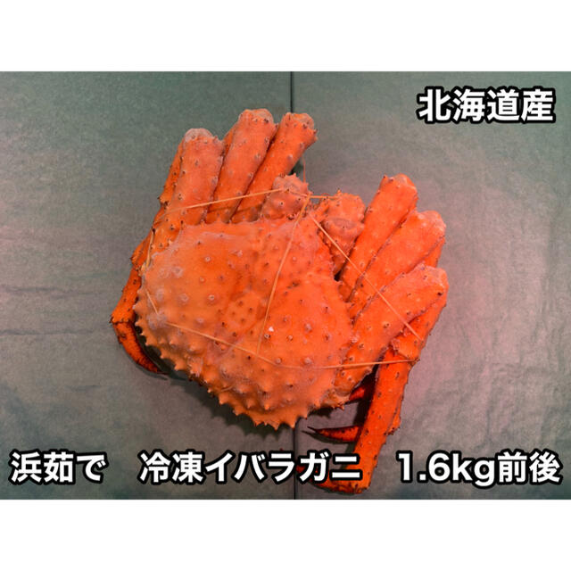 北海道産　冷凍イバラガニ　1.6kg前後