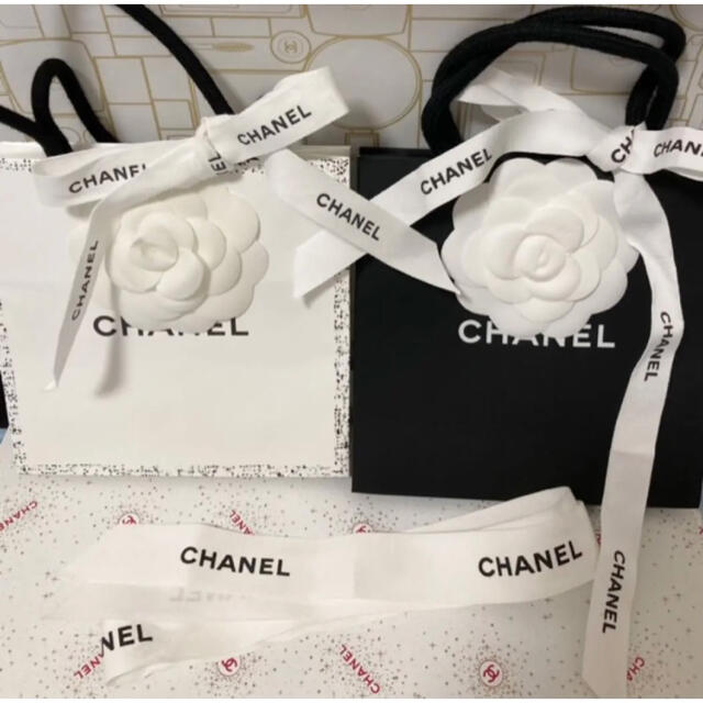 CHANEL(シャネル)のCHANELショッパー2個　リボンカメリア付き レディースのバッグ(ショップ袋)の商品写真