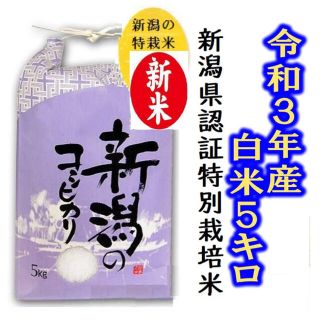 令和3年産　お米・新潟コシヒカリ・新潟県認証特別栽培米1等白米5キロ 1個15(米/穀物)