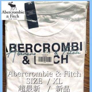 アバクロンビーアンドフィッチ(Abercrombie&Fitch)の【新品】超最新　アバクロ　オーバーサイズ スクリプト　バックロゴTシャツ q(Tシャツ/カットソー(半袖/袖なし))