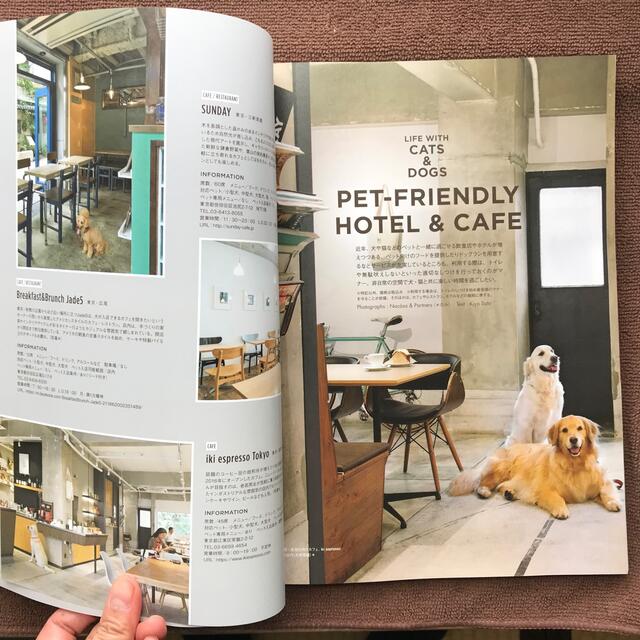 【リサイクル本】I'm home (猫と暮らす、犬と暮らす) 2017年11月号 エンタメ/ホビーの雑誌(専門誌)の商品写真