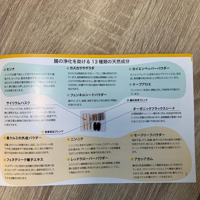 【ルル@プロフ必読様】ドクターズチョイス デトックススルー【4日分】