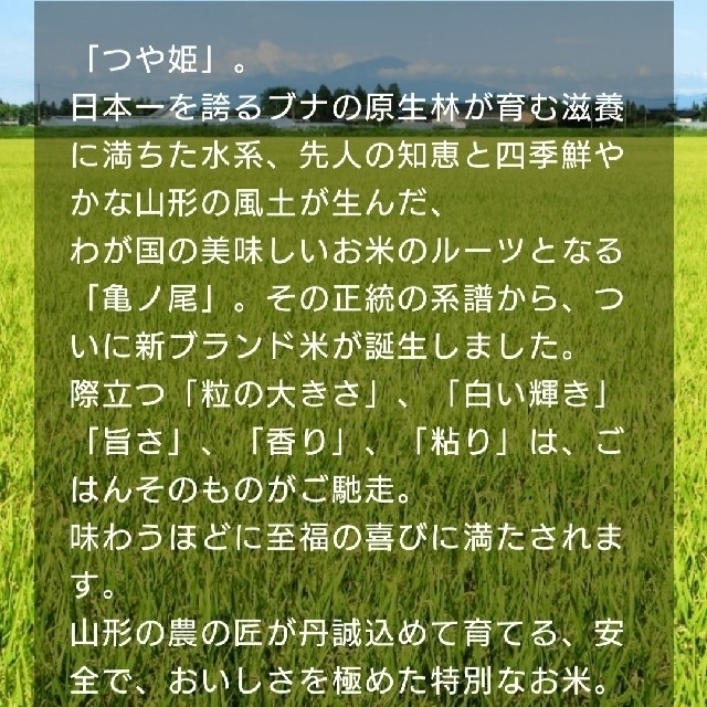 つや姫10kg　山形県産令和３年産 1