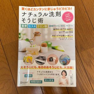 【お掃除本】ナチュラル洗剤そうじ術(住まい/暮らし/子育て)