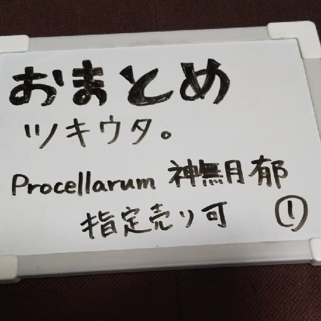 壱【ツキウタ。 郁 プロセラ】ツキウタ。Procellarum 神無月郁 グッズ