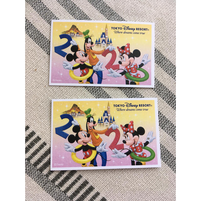 ディズニーペアチケット - 遊園地/テーマパーク