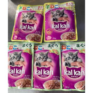 子猫　キャットフード　ウエットフード70g 5個セット(ペットフード)