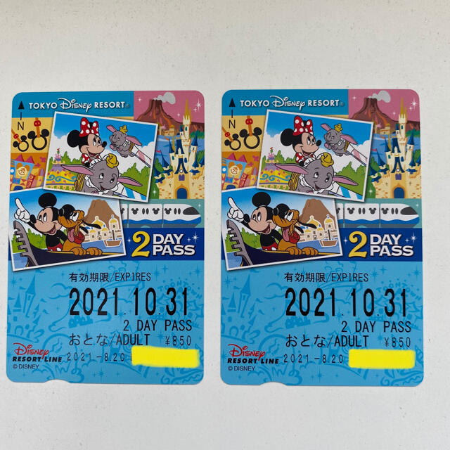 ディズニーリゾートライン2DAYPASS