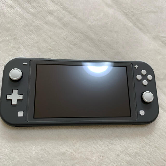 週末値下げ‼️(保証期間内)Nintendo switch light モンハン