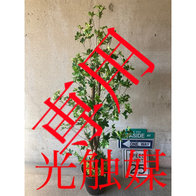 光触媒 人工観葉植物 ウォールグリーン 造花 アレンジ ドウダン133 - 置物