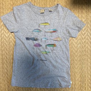 スコッチアンドソーダ(SCOTCH & SODA)のスコッチ＆ソーダ　サイズ140 半袖(Tシャツ/カットソー)