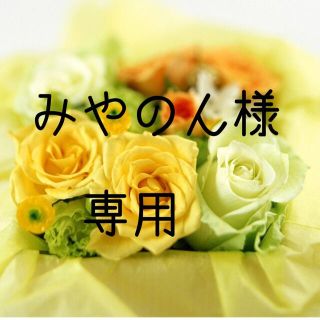 みやのん様専用　お米　令和3年　愛媛県産ヒノヒカリ　玄米　30㎏✖️2(米/穀物)