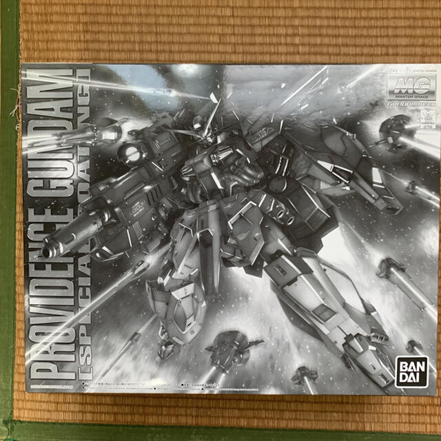 未組立 MG プロヴィデンスガンダム スペシャルコーティング 未組立 MG プロヴィデンスガンダム スペシャルコーティング