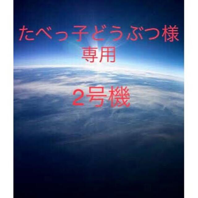 たべっ子どうぶつ様　専用 その他のその他(オーダーメイド)の商品写真