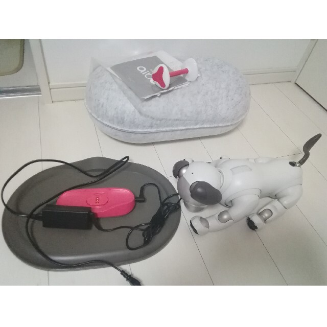 エンタメ/ホビー美品★SONY aibo ERS-1000 アイボ 付き 付属品あり