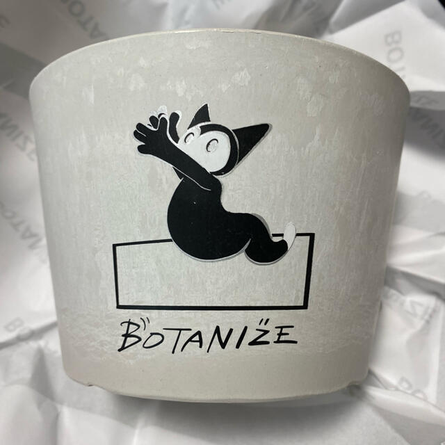 Lotta × BOTANIZE 鉢 大小セット 新品未使用 1