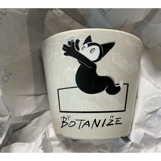 Lotta × BOTANIZE 鉢 大小セット 新品未使用 2