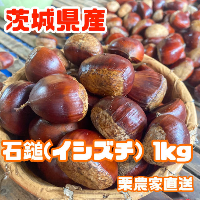 【農家直送】茨城県産！定番品種[石鎚]1kg❗️ 食品/飲料/酒の食品(フルーツ)の商品写真