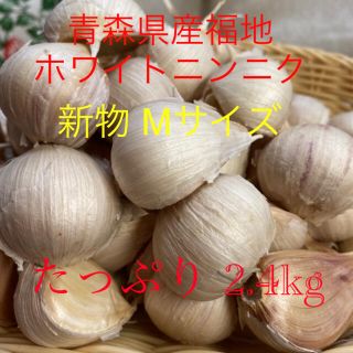 新物 青森県産福地ホワイトニンニク Mサイズ2.4kg(野菜)