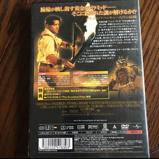 廃盤/希少　DVD ピラミッド