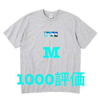 シュプリーム(Supreme)のSupreme Emilio Pucci Box Logo Tee 灰青M(Tシャツ/カットソー(半袖/袖なし))
