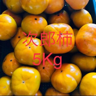 次郎柿　5kg(フルーツ)