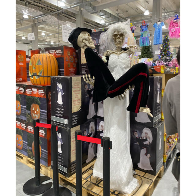 コストコ ハロウィン 骸骨 スケルトン ディスプレイ 市場品切れ コストコ ハロウィン 骸骨 スケルトン ディスプレイ 市場品切れ