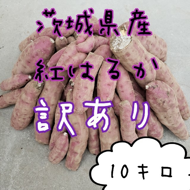 訳あり　紅はるか　10キロ　茨城県産　令和３年　さつま芋　サツマイモ　お芋 食品/飲料/酒の食品(米/穀物)の商品写真