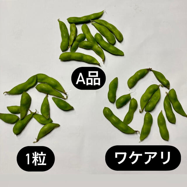 枝豆 1kg 千葉県産 農家直送 食品/飲料/酒の食品(野菜)の商品写真