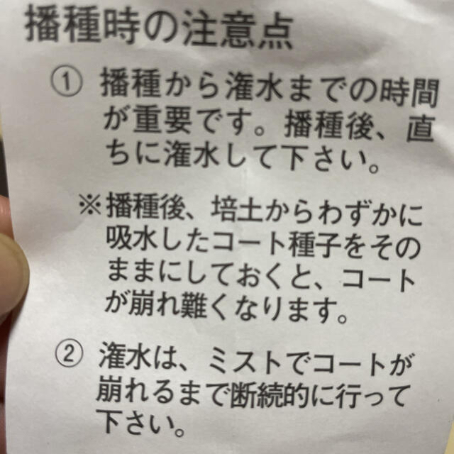 トルコキキョウ【ユーストマ】種　フィーノブルー30粒 ハンドメイドのフラワー/ガーデン(その他)の商品写真