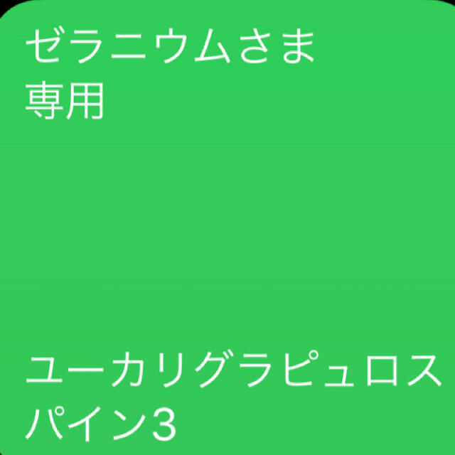 ゼラニウムさま 専用 ユーカリグラピュロス パイン3のサムネイル