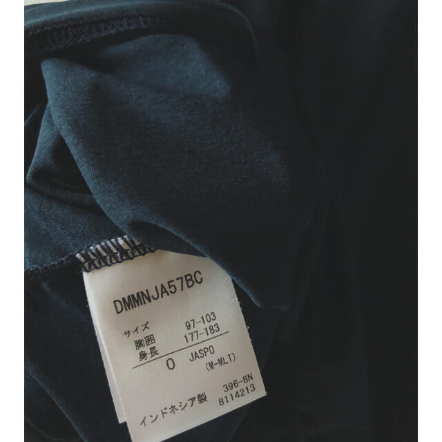 DESCENTE(デサント)の美品　デサント　Tシャツ　オリックスバッファローズ スポーツ/アウトドアのランニング(ウェア)の商品写真