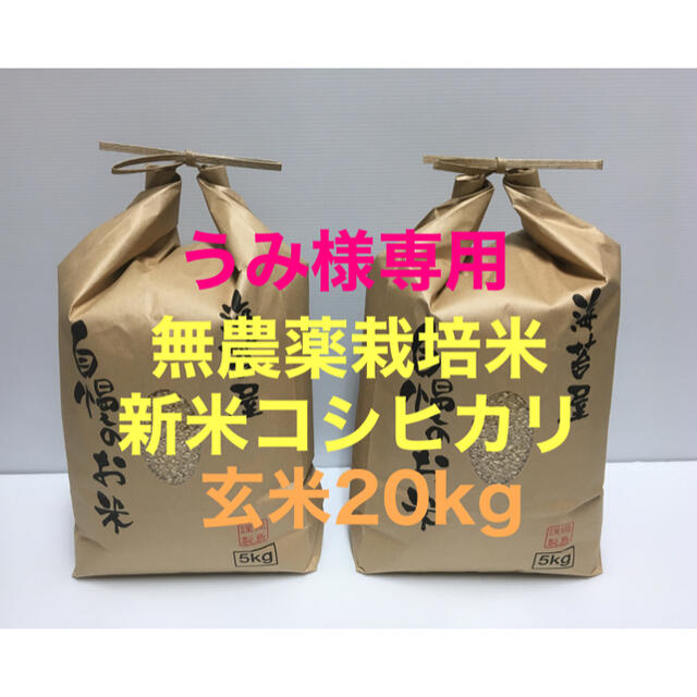 割引 うみ様専用 新米 無農薬コシヒカリ玄米20kg(5kg×4)令和3年 徳島県